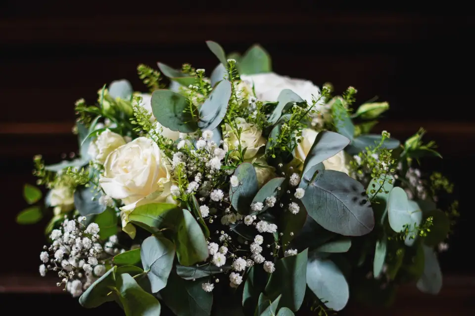 Blanc Bleu Rêve — photo 4