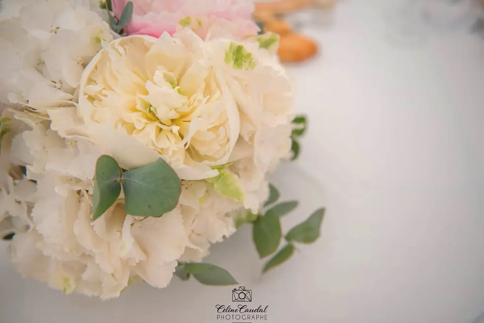 Blanc Bleu Rêve — photo 7