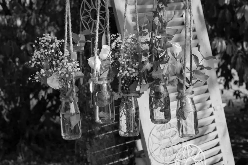 Tbeur Photographe — photo 3