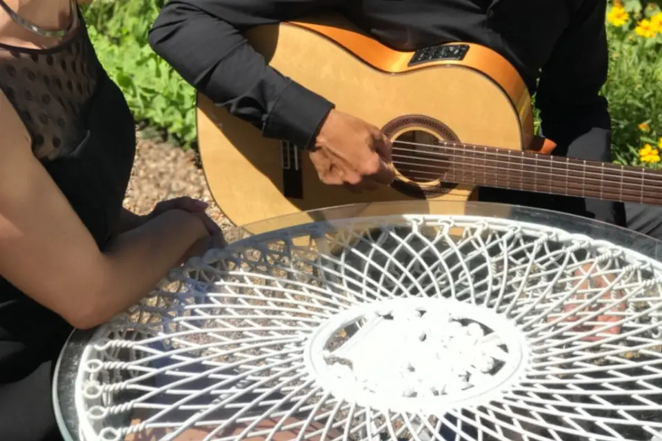 Isabelle Sabatier Trio — photo 5