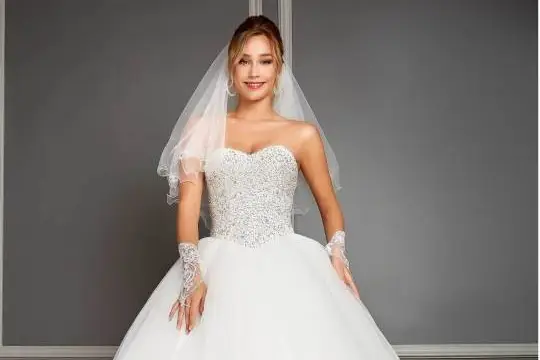 Alliance Elixir — photo 3