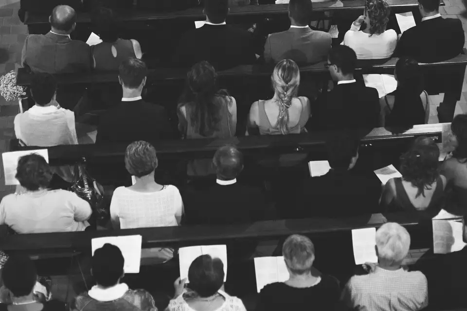 Snoot Production — photo 2