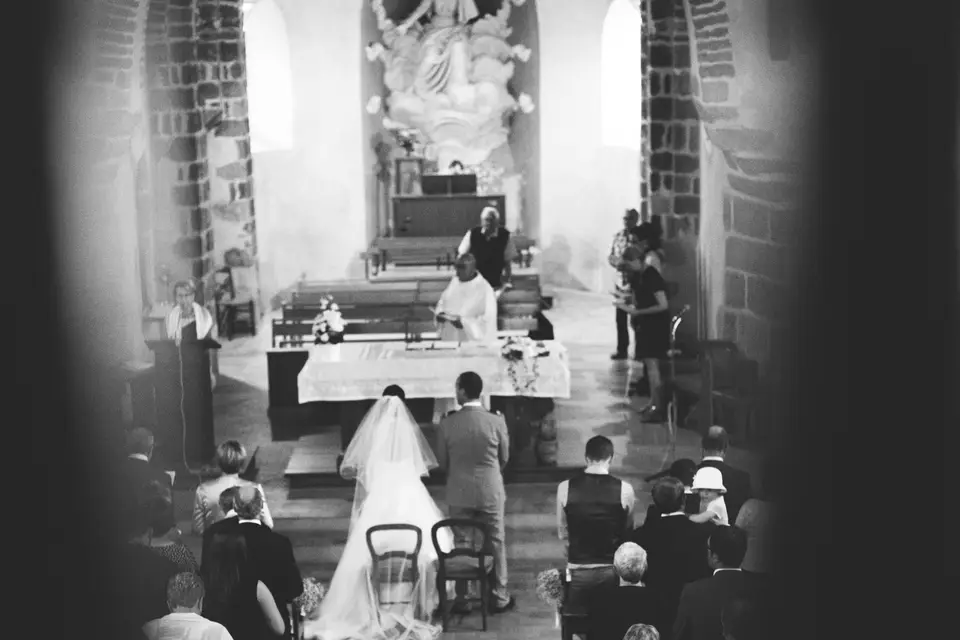 Snoot Production — photo 1