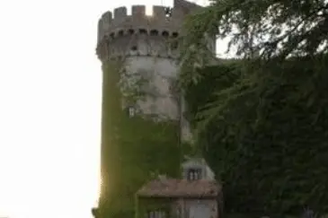 M.C.A.D Wedding-Cad — photo 2