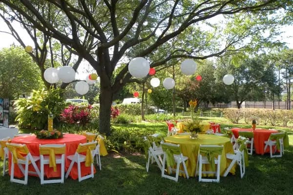 M.C.A.D Wedding-Cad — photo 4