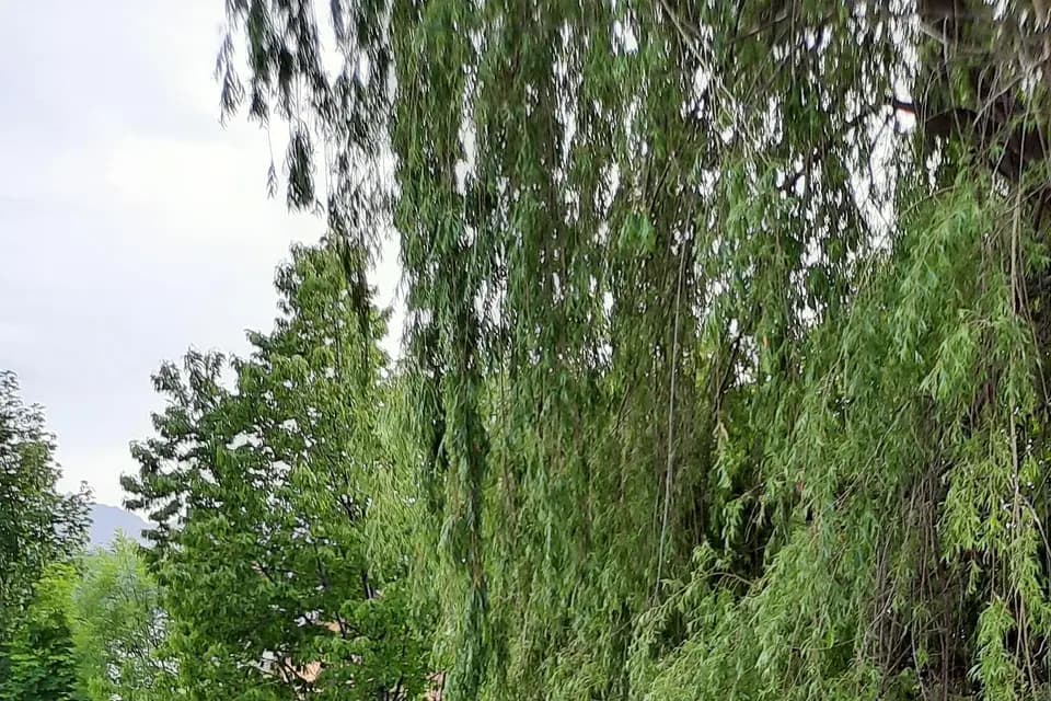 Villa Morelia — photo 4