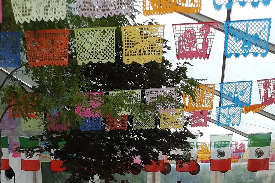 Villa Morelia — photo 8