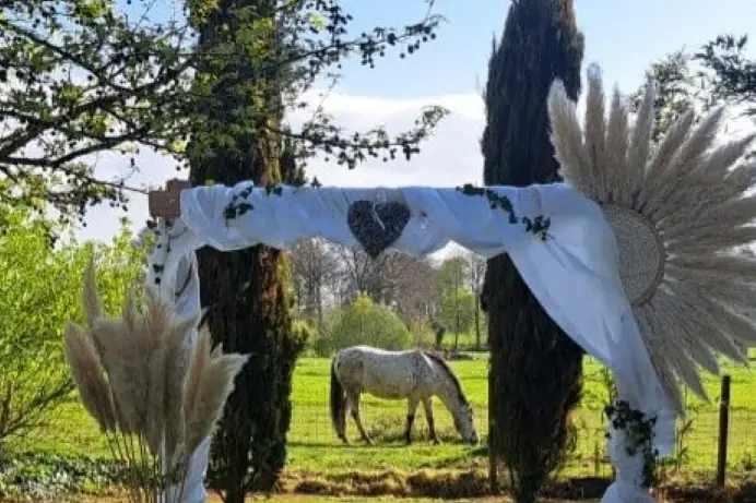 Le Haut Morand — photo 5