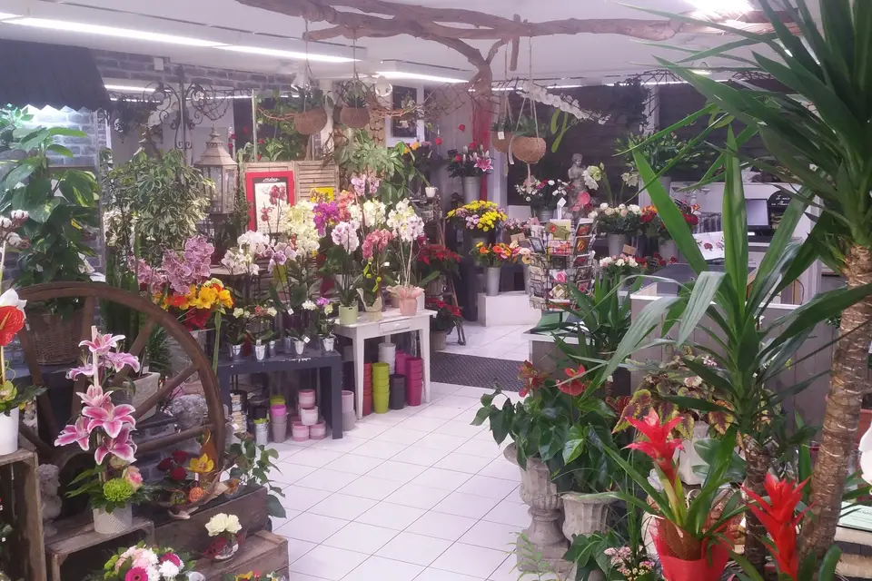 Aau Jardin de Bertille — photo 4