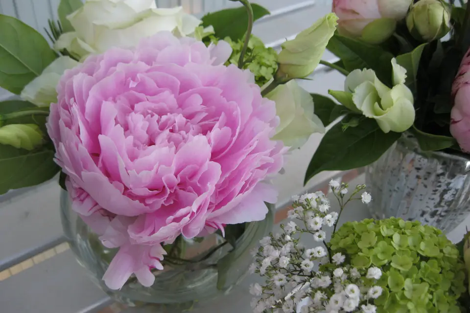 Aiyana Fleurs — photo 2