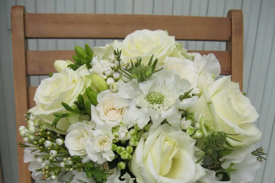 Aiyana Fleurs — photo 1