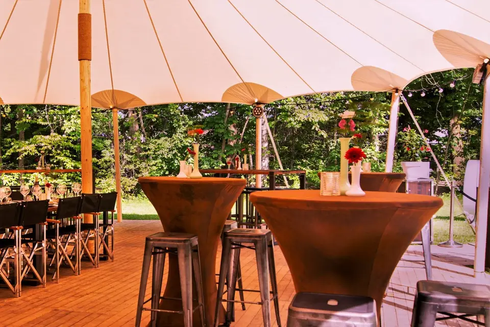 Instant Sono — photo 2