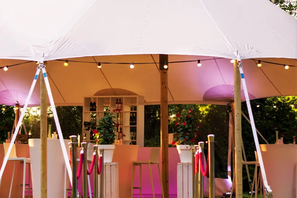 Instant Sono — photo 3