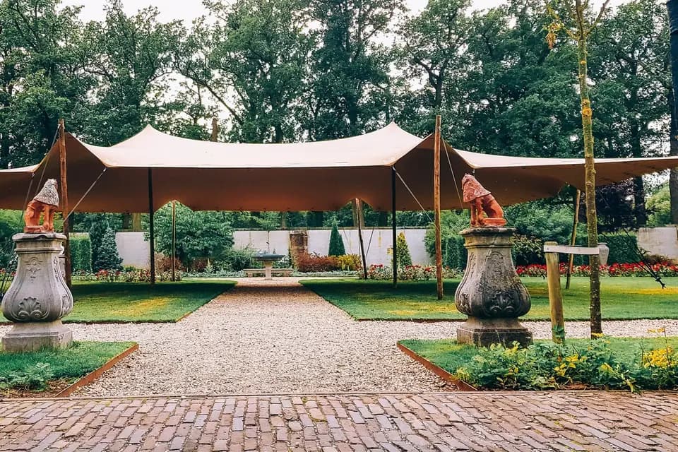 Instant Sono — photo 5