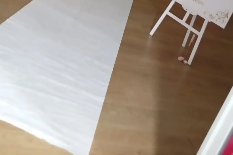 SM Organisation — photo 5