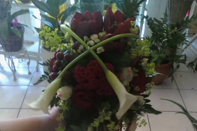 Lépine d'or — photo 6