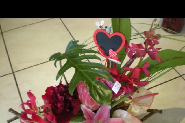 Lépine d'or — photo 8