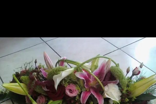 Lépine d'or — photo 5