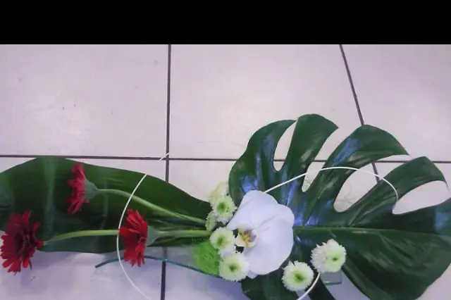 Lépine d'or — photo 4