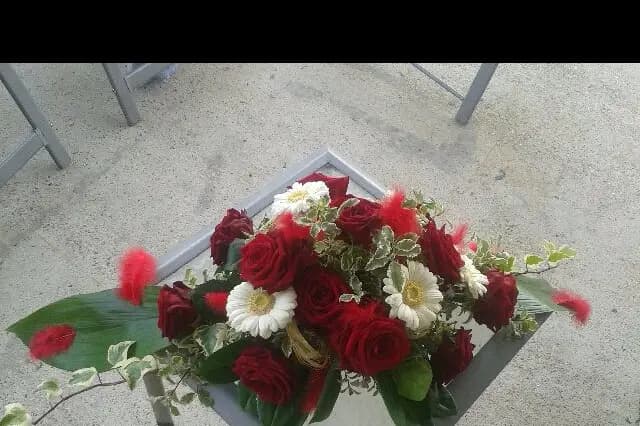 Lépine d'or — photo 7