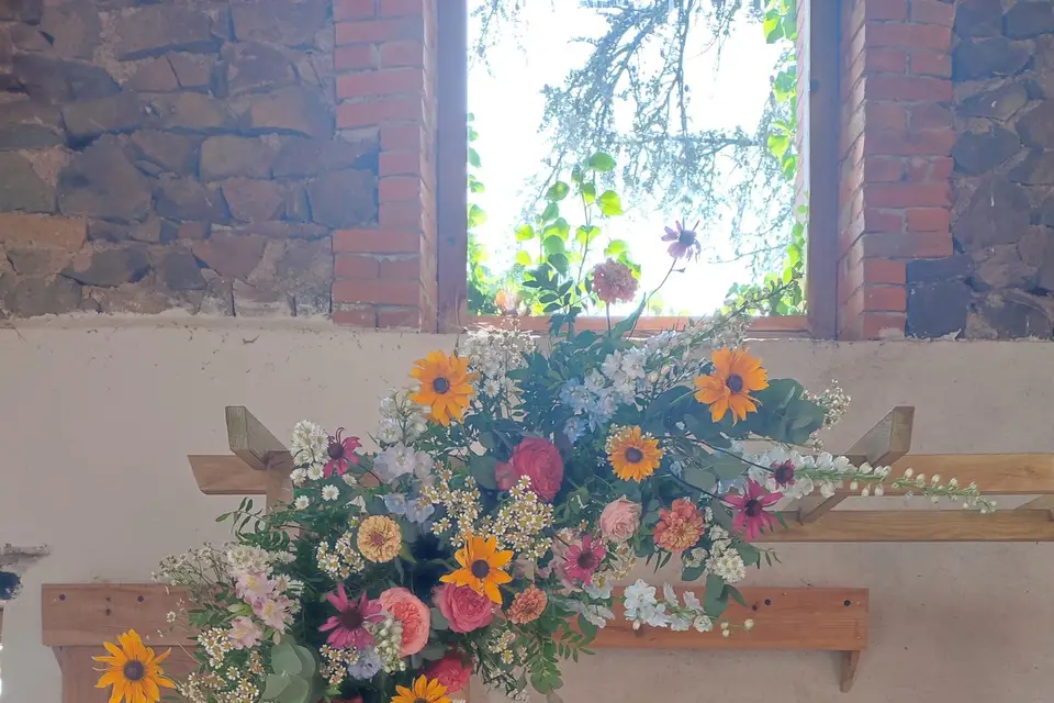 Lolotte au Jardin — photo 1