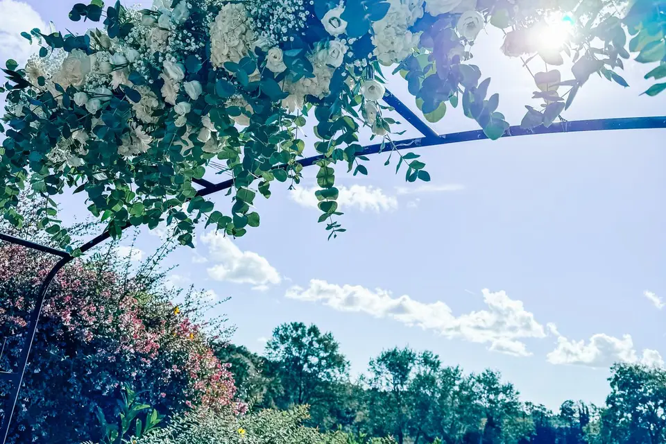 Pollen & Pétale — photo 1