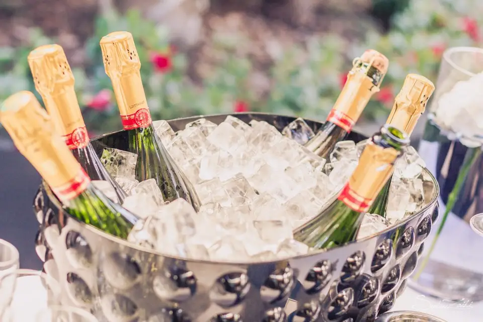 Hôtel Palladia — photo 6