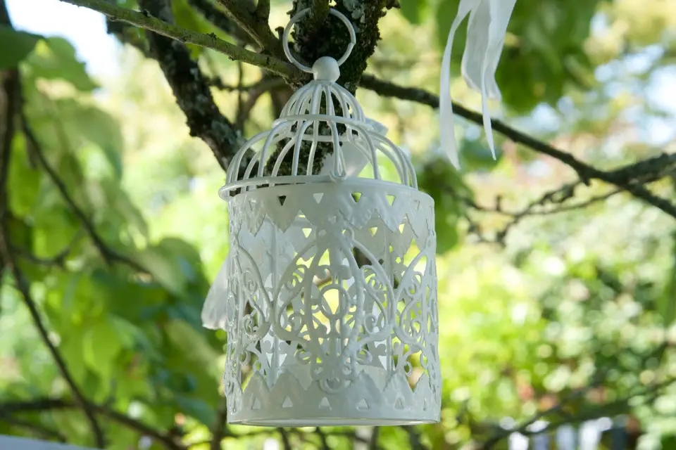 Nick Tynan — photo 6