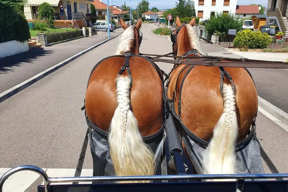 Exploitation agricole du Praley — photo 6