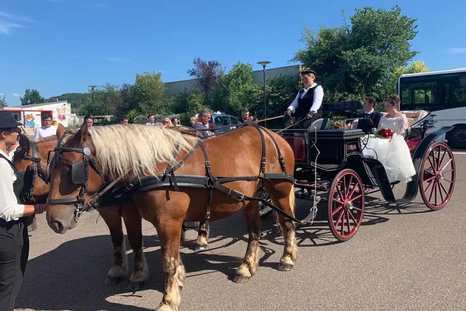 Exploitation agricole du Praley — photo 7