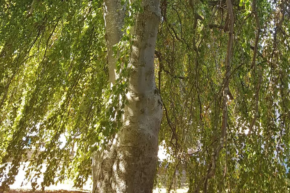 Château de Chazelles — photo 7