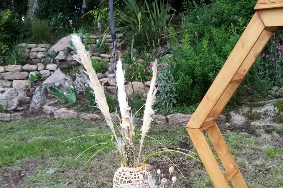 Vénus Event — photo 2