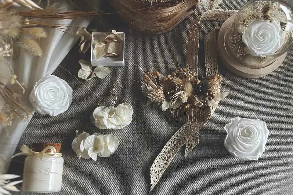 Chardon et Pissenlit — photo 1