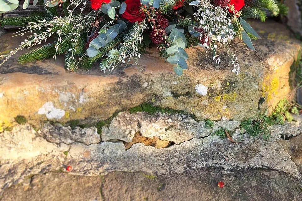 Maison Marceline — photo 2