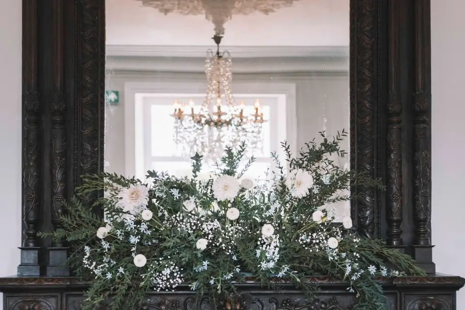 Le chardon voyageur — photo 2