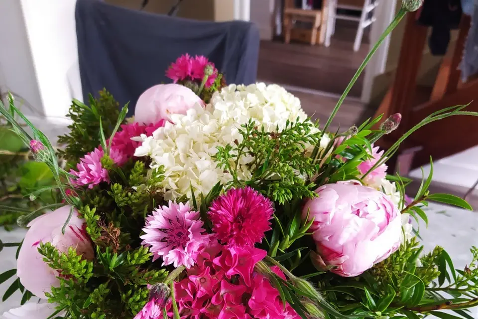 Le chardon voyageur — photo 5