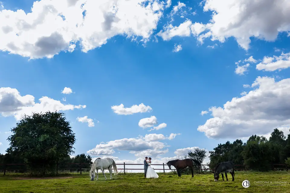 Christophe Blaszkowski — photo 3