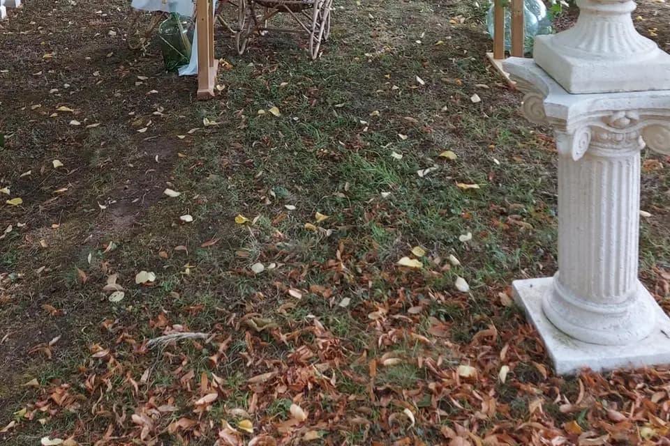 Le Clos Cathala — photo 7