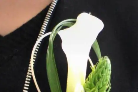 Fée florale — photo 6