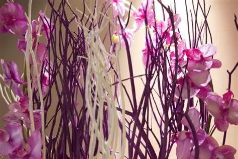 Le Madison — photo 5