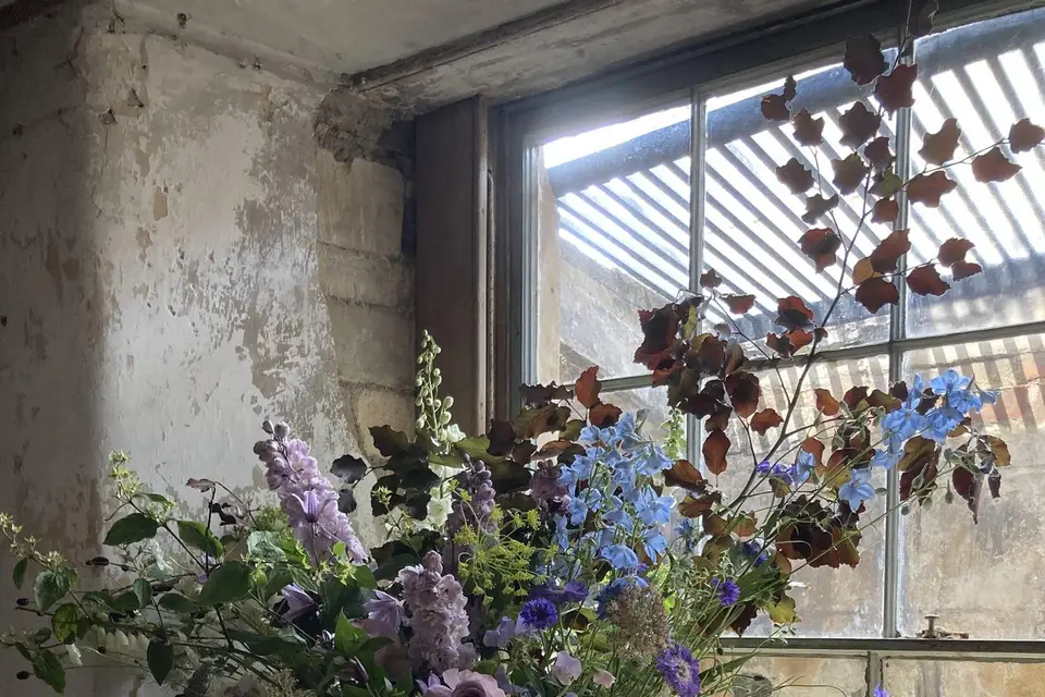 Kilda Meadows Flowers — photo 5