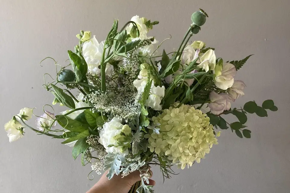 Kilda Meadows Flowers — photo 8