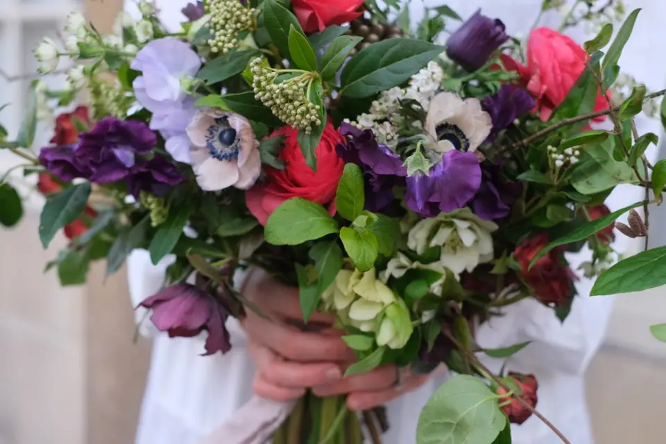 Kilda Meadows Flowers — photo 1