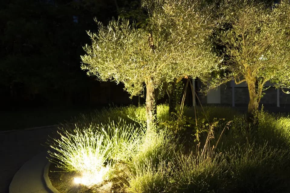 Les Oliviers — photo 7