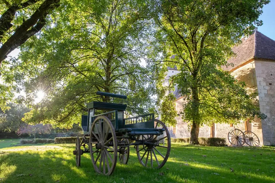 Jealtoess — photo 8