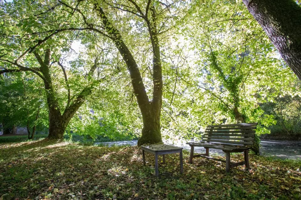 Jealtoess — photo 1