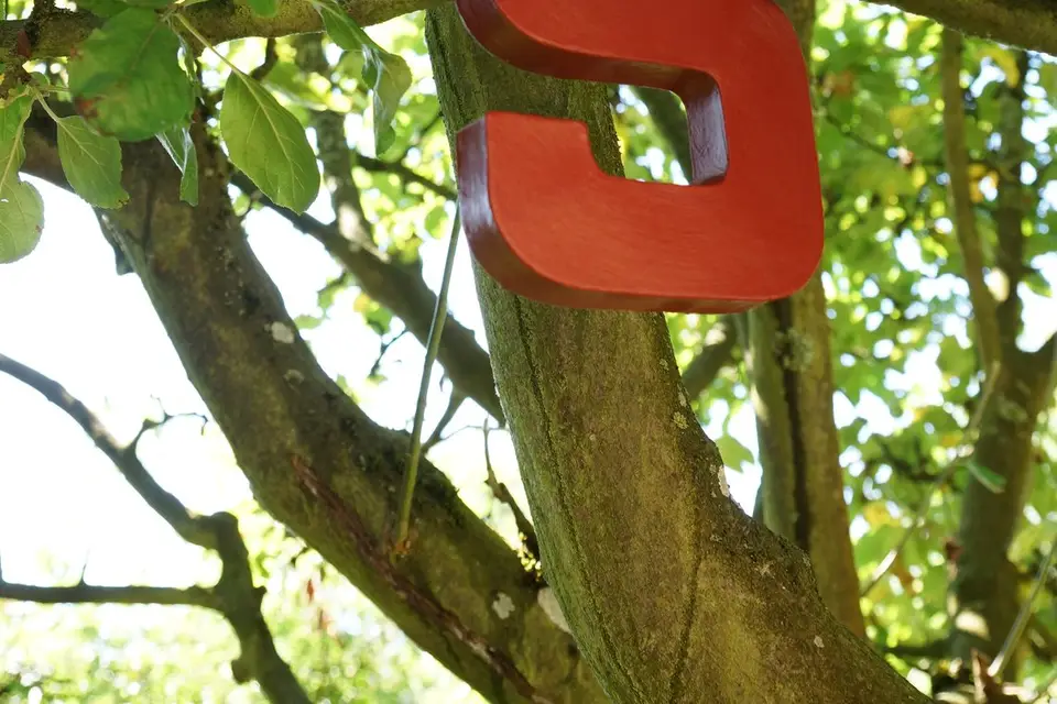 Une vie en blanc — photo 4