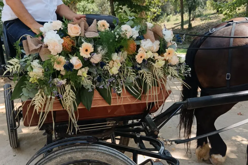 L'Art des Sens — photo 6