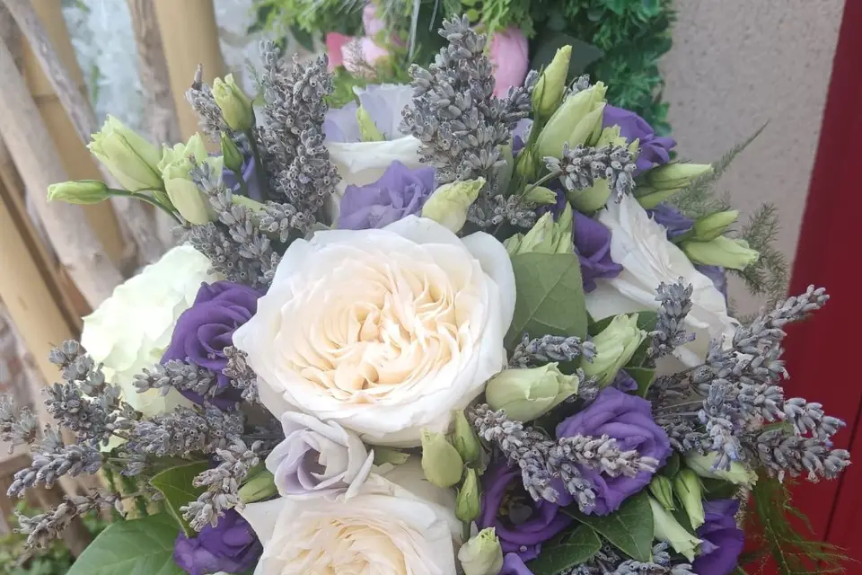 L'Art des Sens — photo 8