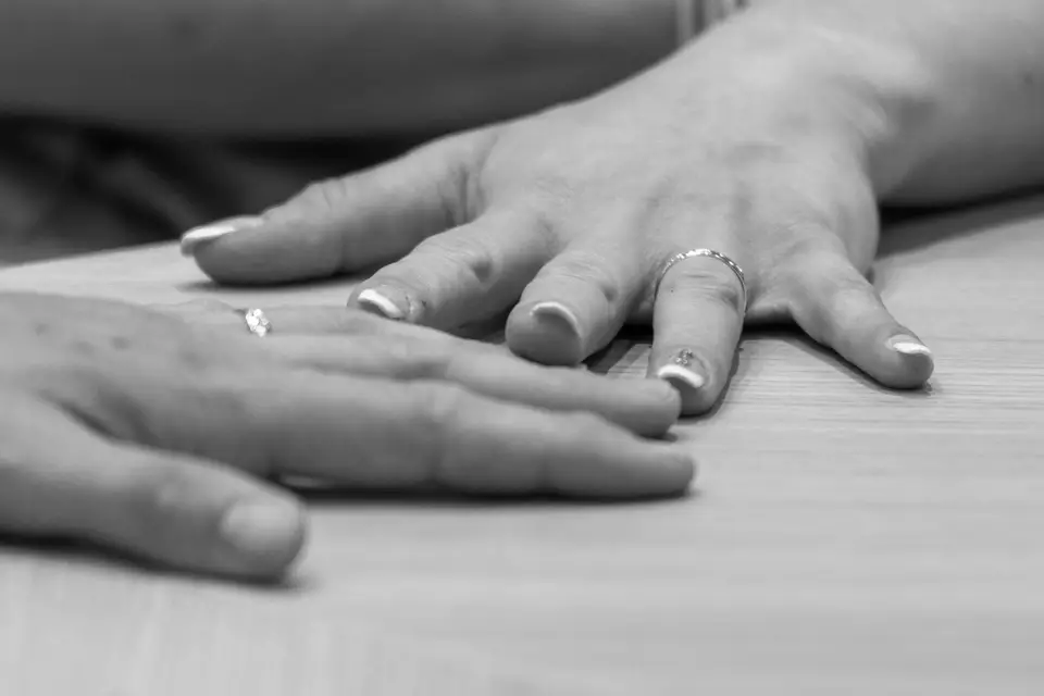 RDVision — photo 5